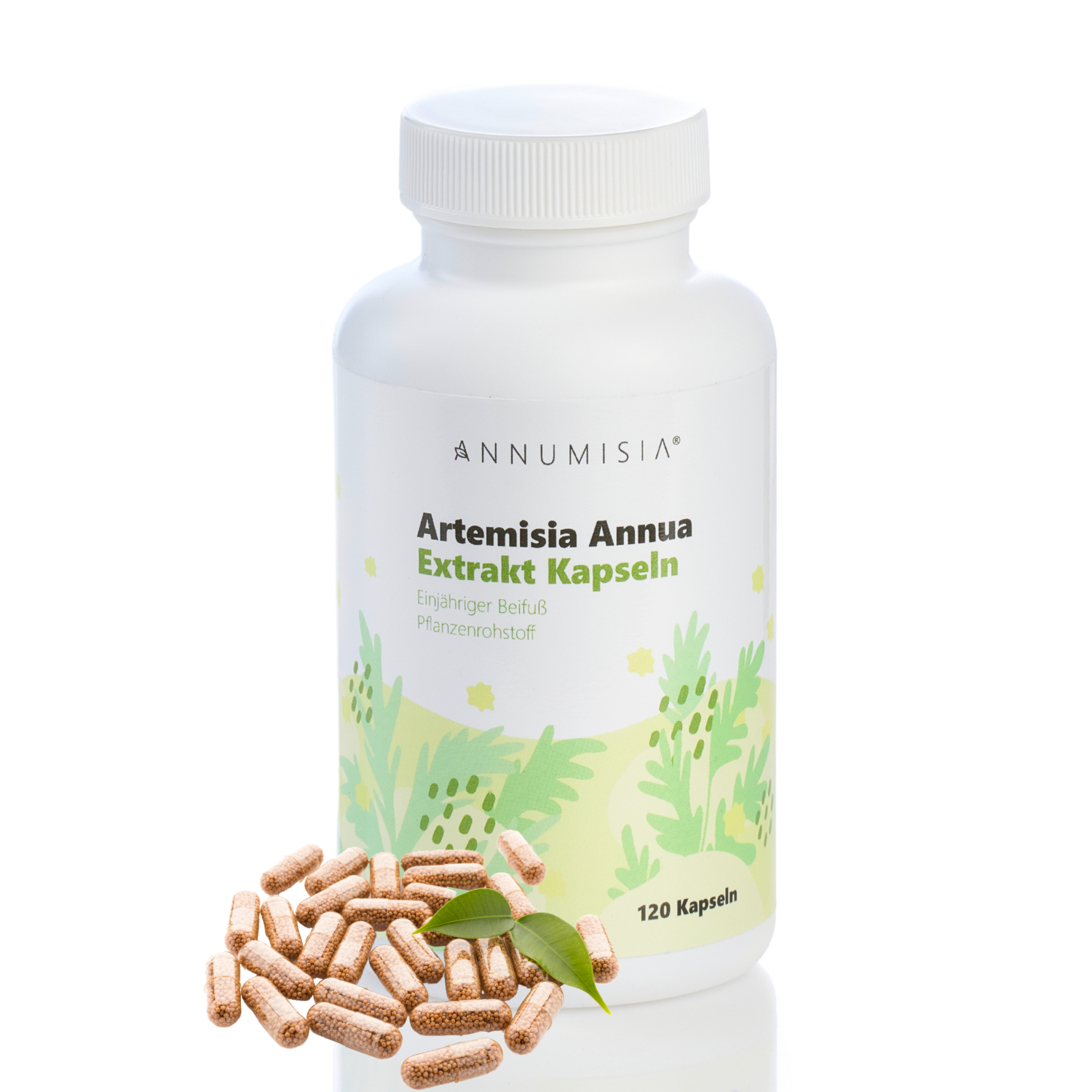 Artemisia Annua Extrakt Kapseln