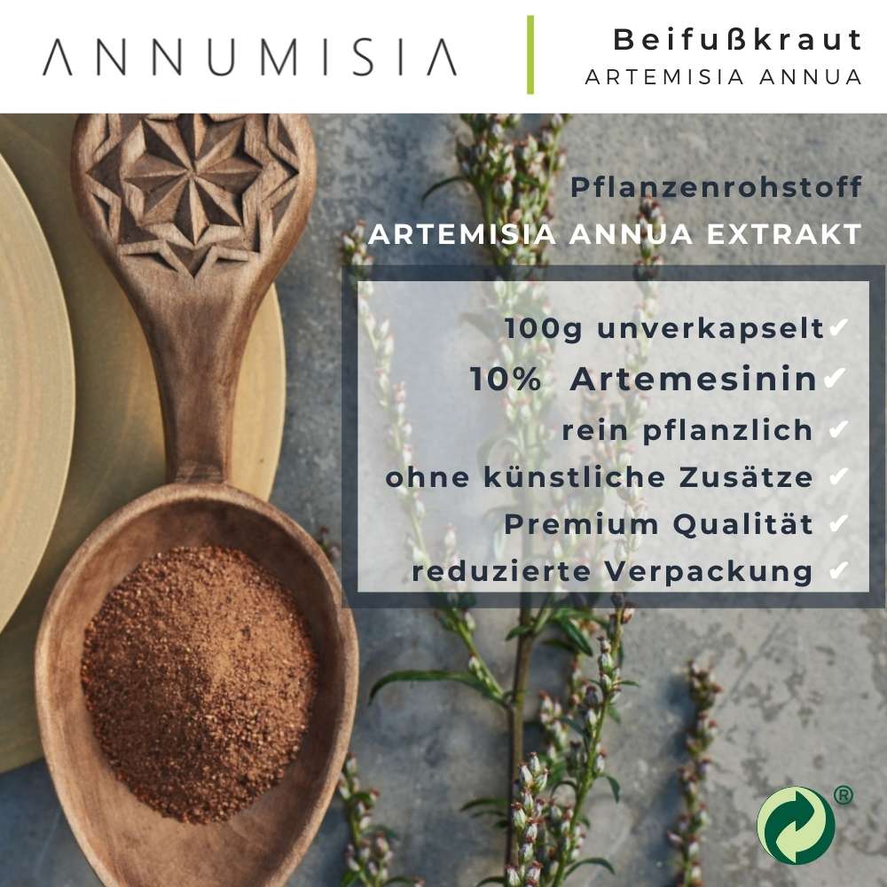 Artemisia Annua Extrakt Pulver 10% Artemisinin