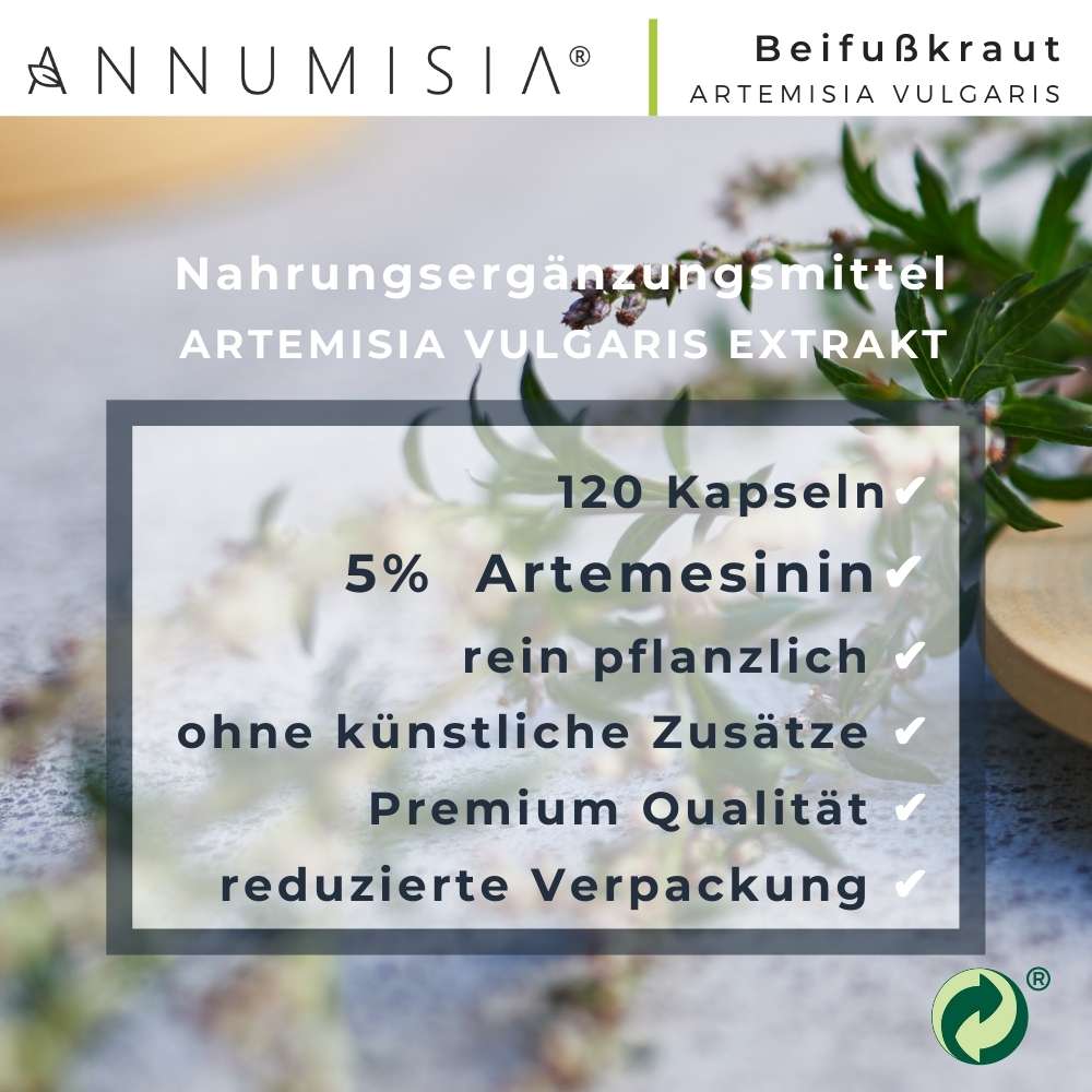 Artemisia Beifuß Extrakt Kapseln 5% Artemisinin