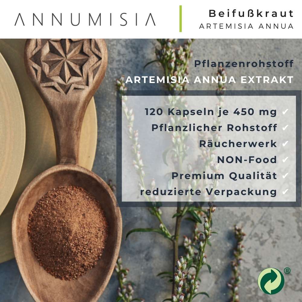 Artemisia Annua Extrakt Kapseln